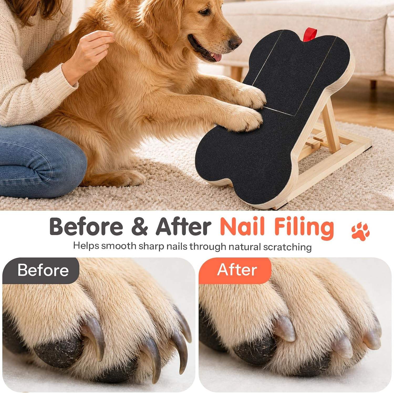 Hölzernes Hunde-Kratzboard mit – Woodworking File Bewertung und Preis