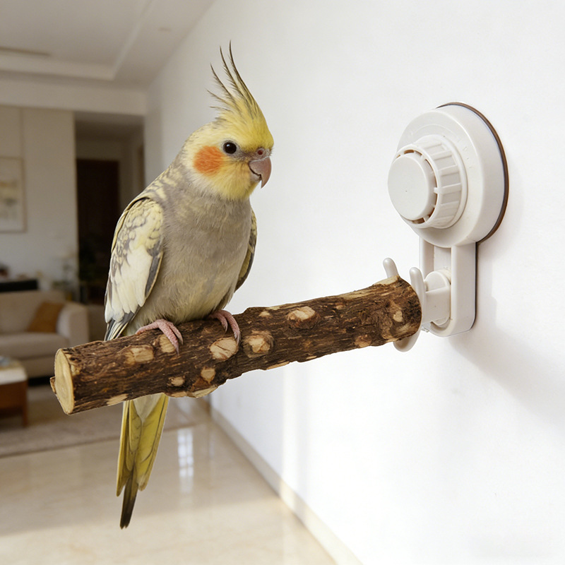 Papageienständer mit Saugnapf, – Woodworking Joint Bewertung und Preis