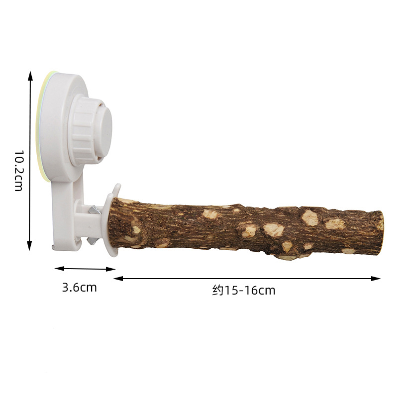 Papageienständer mit Saugnapf, – Woodworking Joint Bewertung und Preis